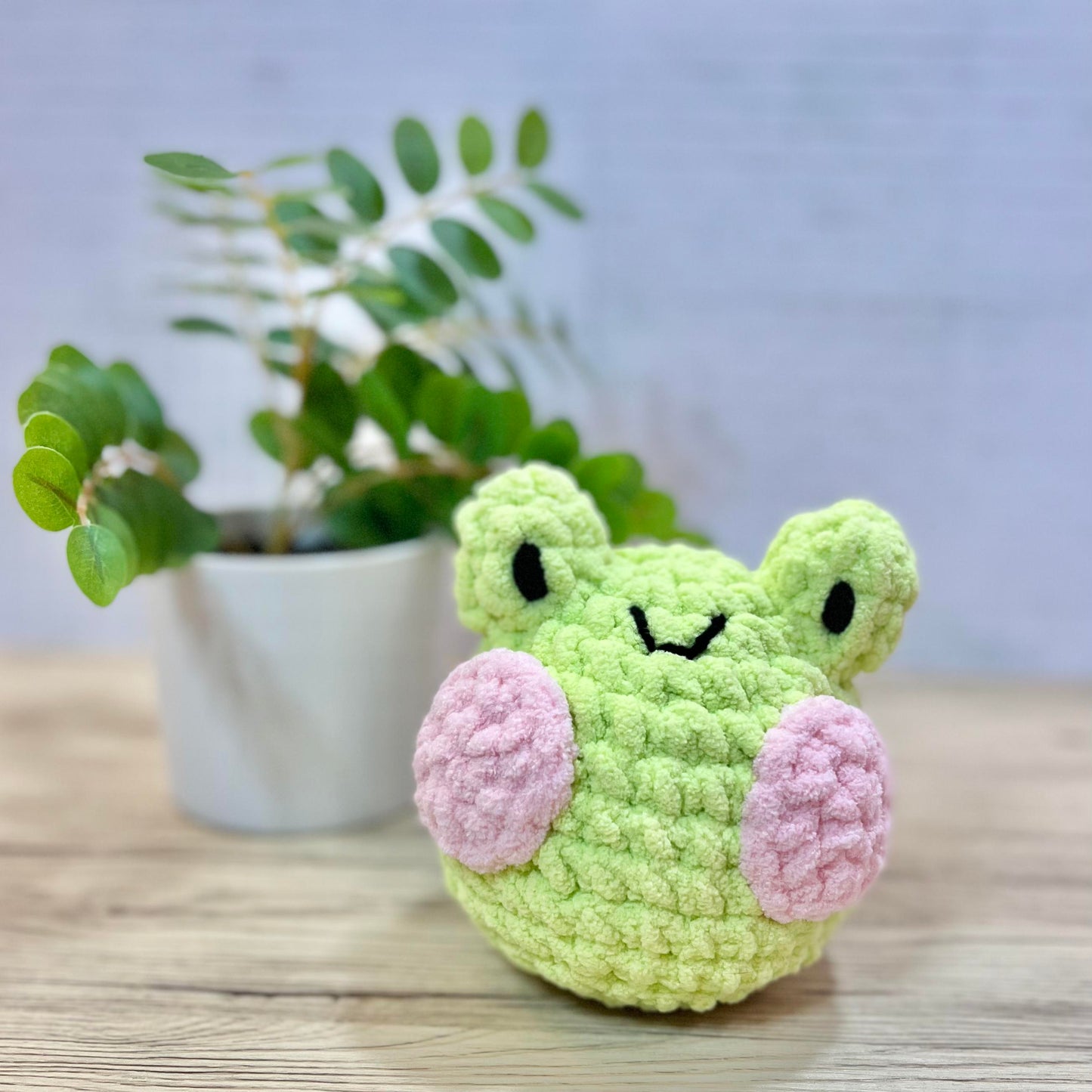 Frog DIY Kit