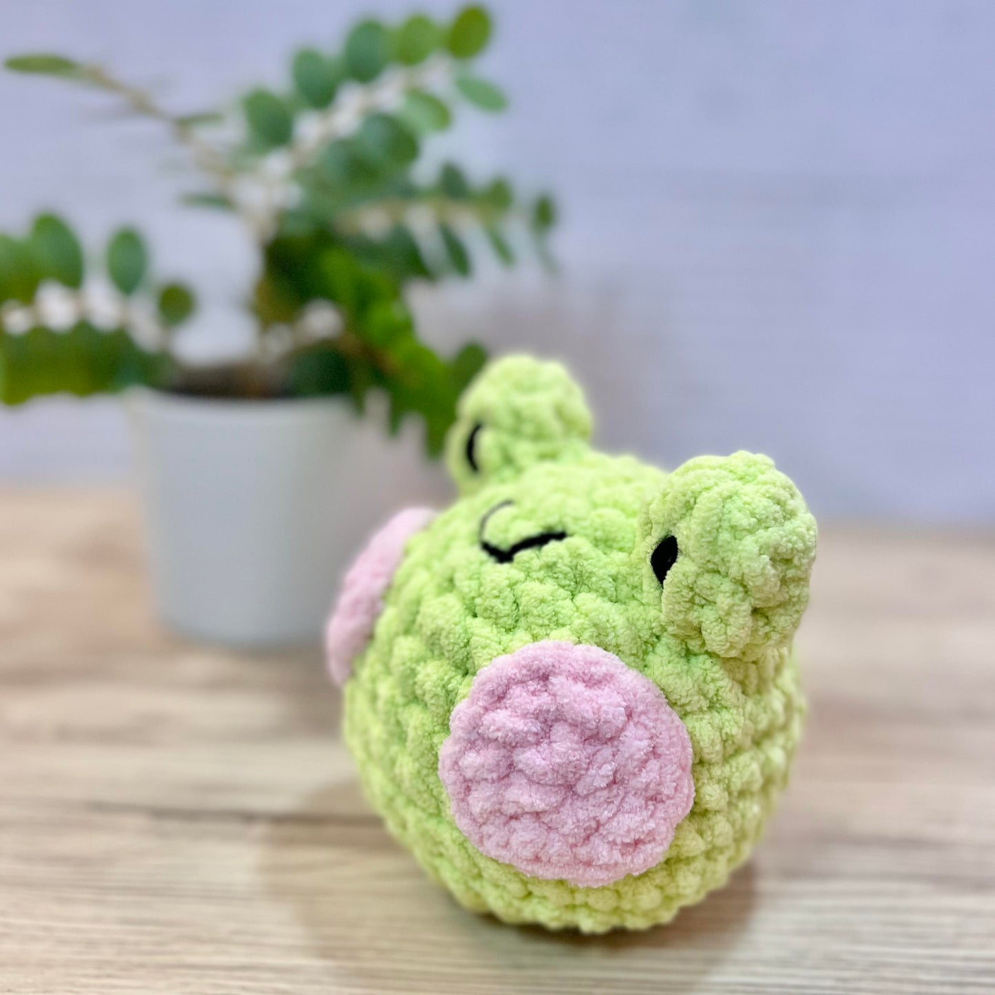 Frog DIY Kit