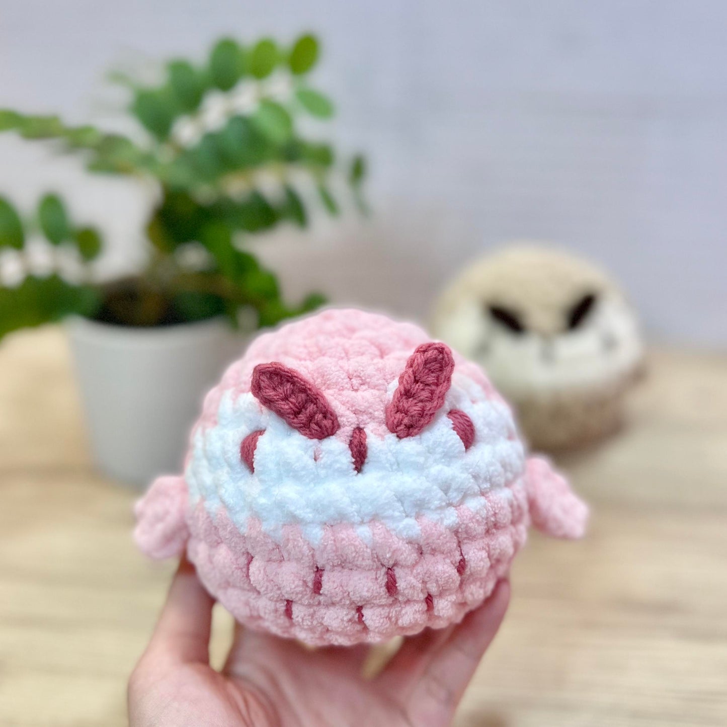 Owl DIY Kit