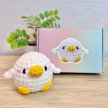 Load image into Gallery viewer, White Duck DIY Kit
